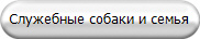 Служебные собаки и семья